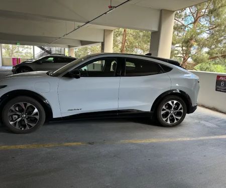 Avis Car Rental