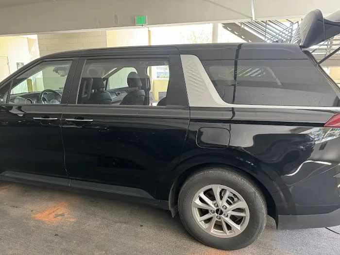 Avis Car Rental Picture 10