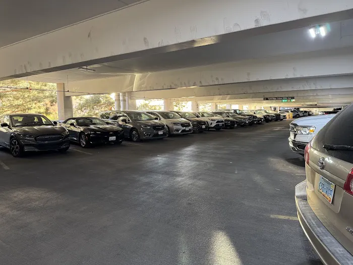 Avis Car Rental Picture 9