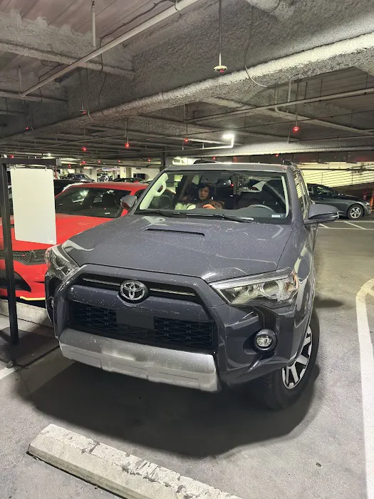 Avis Car Rental Picture 3