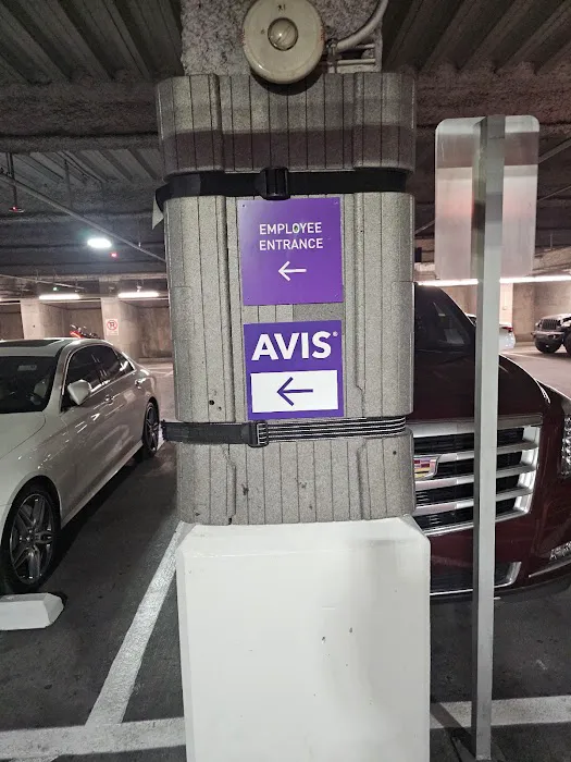 Avis Car Rental Picture 2