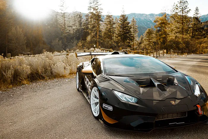 Royalty Exotic Cars Picture 1