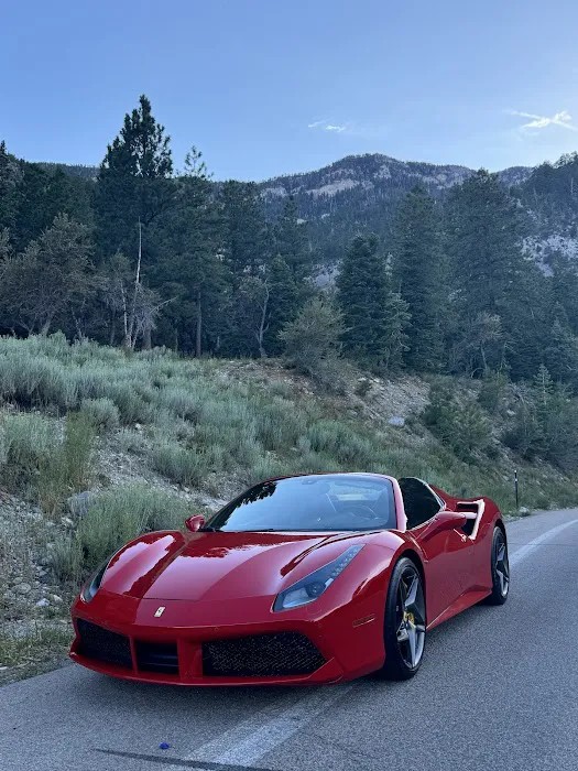 Royalty Exotic Cars Picture 4