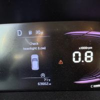 Drive Sally ico