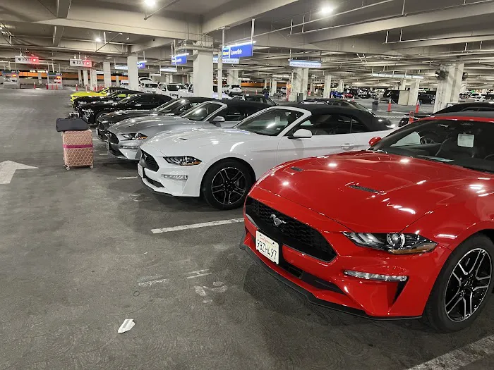 Harry Reid Rental Car Center Picture 8
