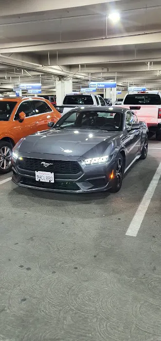 Dollar Rent A Car Picture 10