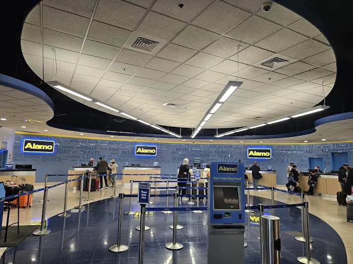 Alamo Rent A Car Picture 3