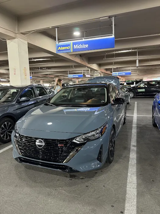 Alamo Rent A Car Picture 8