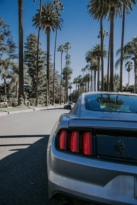 Avis Car Rental Picture 3