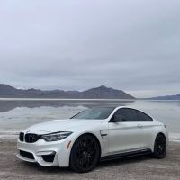Fat Uncle Car Rental ico