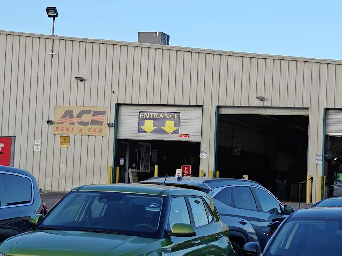 ACE Rent A Car Picture 4