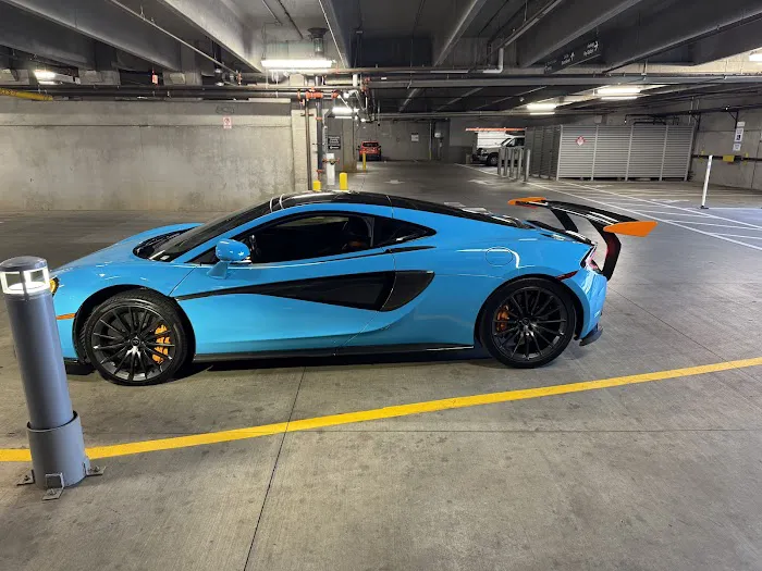 Shirley Luxury - Exotic Car Rental | Charlotte, NC Picture 1