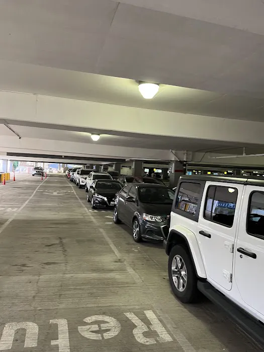 Hertz Car Rental - Charlotte - Charlotte Douglas International Airport (CLT) Picture 3