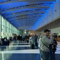 Alamo Rent A Car ico