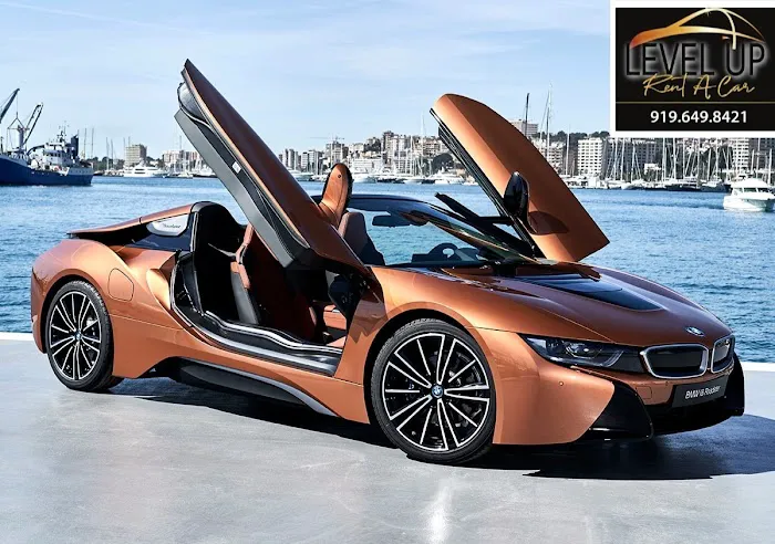 Level Up Rent A Car Picture 2