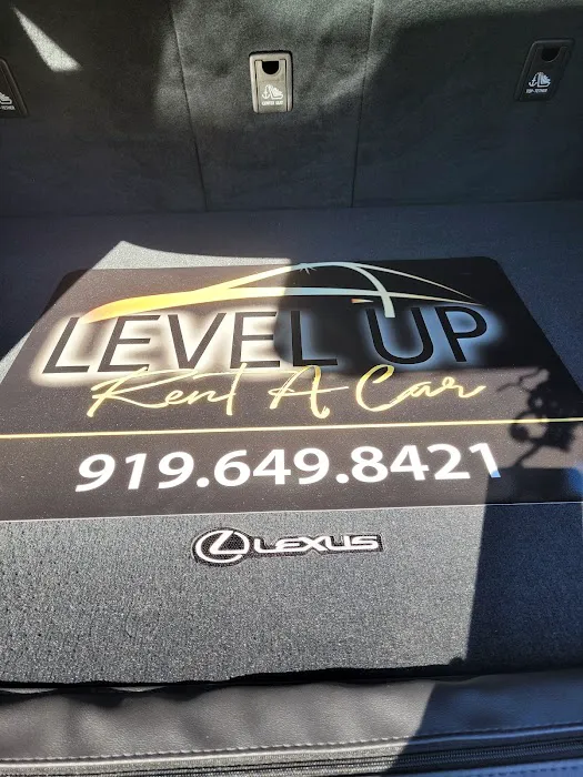 Level Up Rent A Car Picture 4