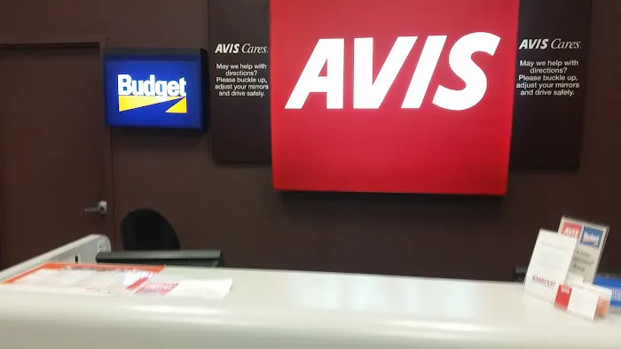 Budget Car Rental Picture 2