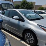Avis Car Rental