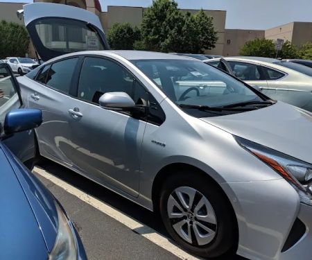 Avis Car Rental
