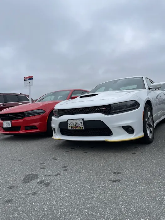 Avis Car Rental Picture 4