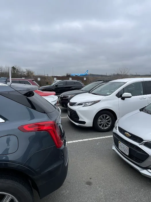 Avis Car Rental Picture 6