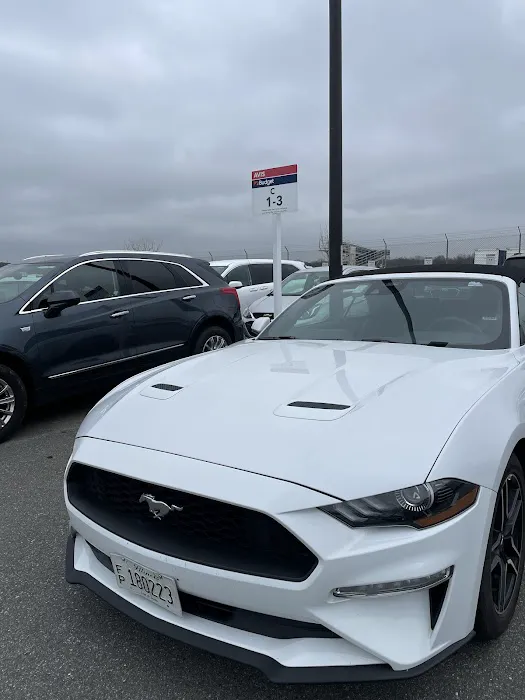 Avis Car Rental Picture 10