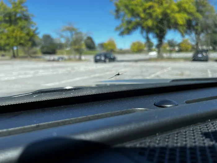 Budget Car Rental Picture 10