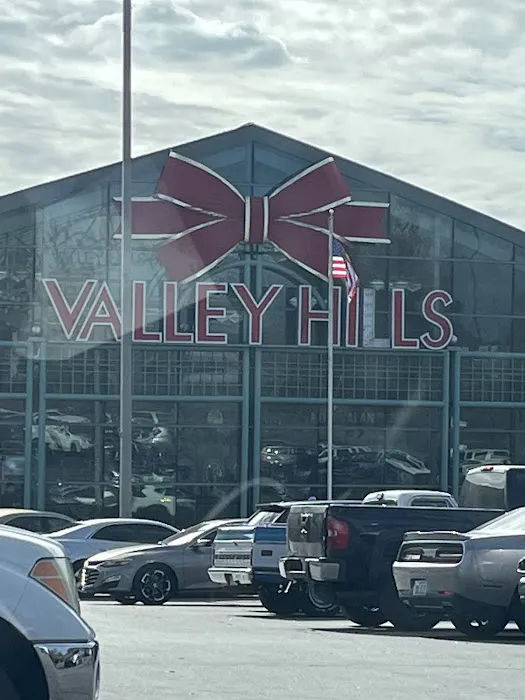 Avis Car Rental Picture 1