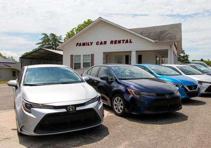 Family Car Rental Picture 5