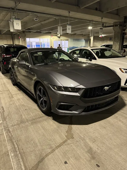Alamo Rent A Car Picture 8