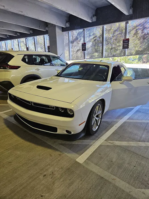 Budget Car Rental Picture 9