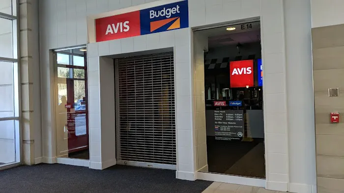 Avis Car Rental Picture 1