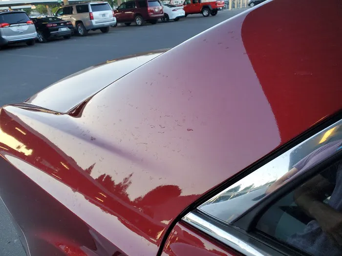Avis Car Rental Picture 1