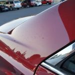 Avis Car Rental