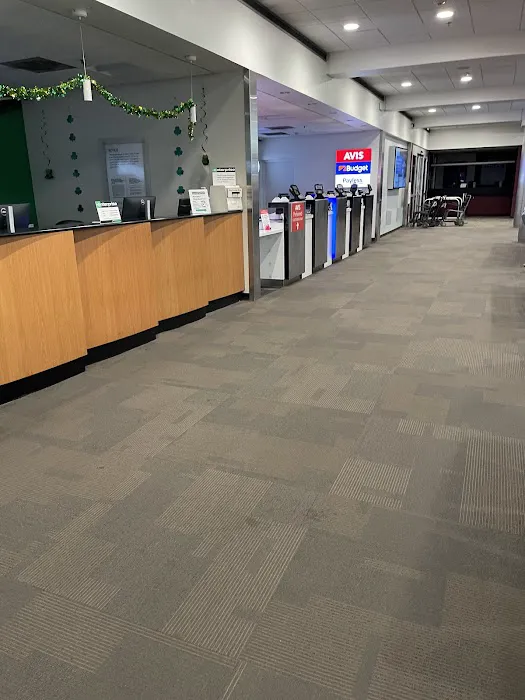 Avis Car Rental Picture 3