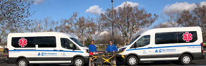 ABC Non-Emergency Medical Transportation , LLC Picture 8