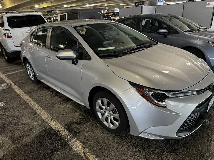 Fox Rent A Car San Jose Picture 8