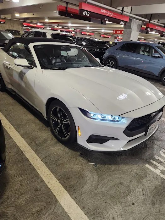 SJC Rental Car Center Picture 10