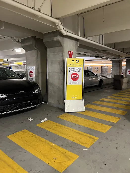 Avis Car Rental Picture 2