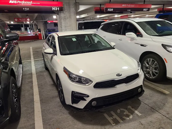 Avis Car Rental Picture 8