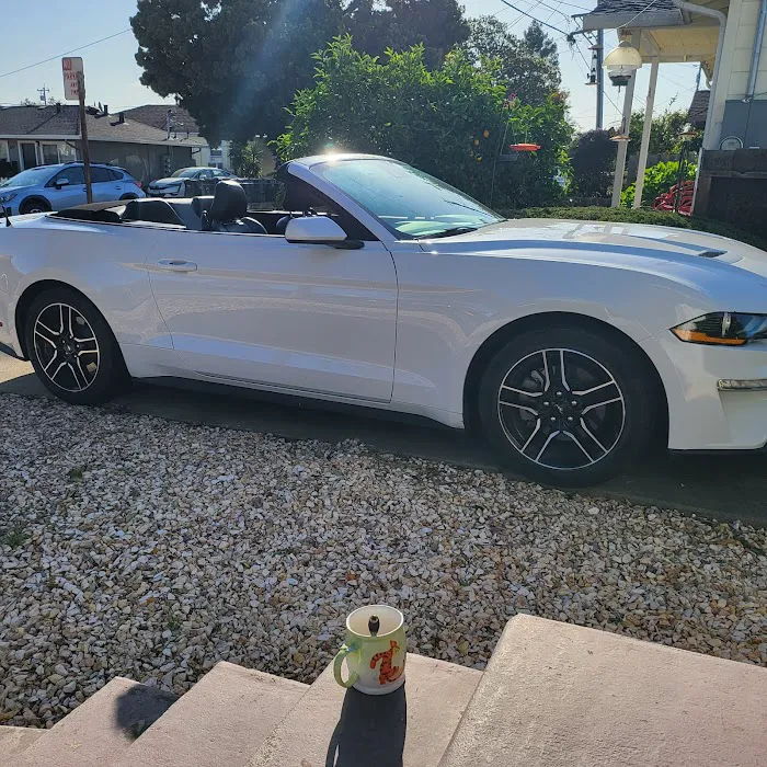 Avis Car Rental Picture 5