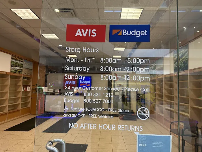 AVIS RENT A CAR Picture 5
