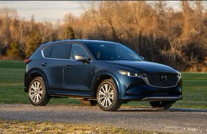 Budget Car Rental Picture 3