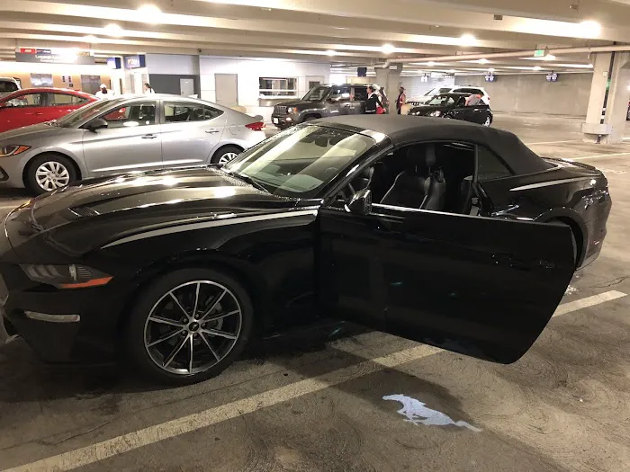 Budget Car Rental Picture 6