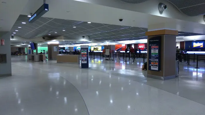 Payless Car Rental Picture 3