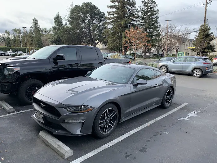 Avis Car Rental Picture 1