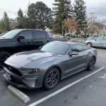 Avis Car Rental