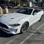 Avis Car Rental
