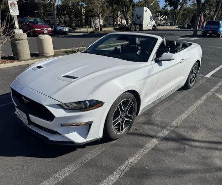 Avis Car Rental