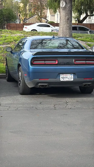 Avis Car Rental Picture 4